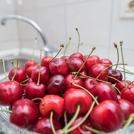 Vinka Apartman Zára