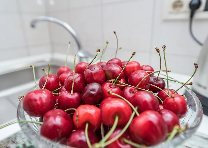 Vinka Διαμέρισμα Ζαντάρ